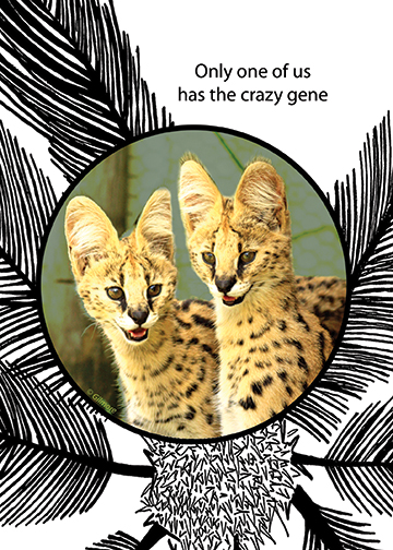 crazy-gene