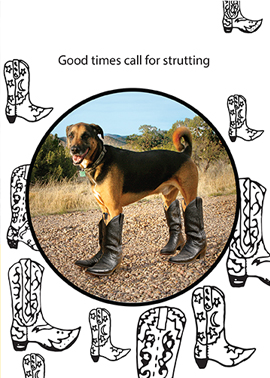 cowboy dog card
