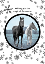 horse christmas card