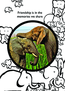 friendship elephants card