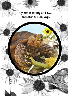 yoga card